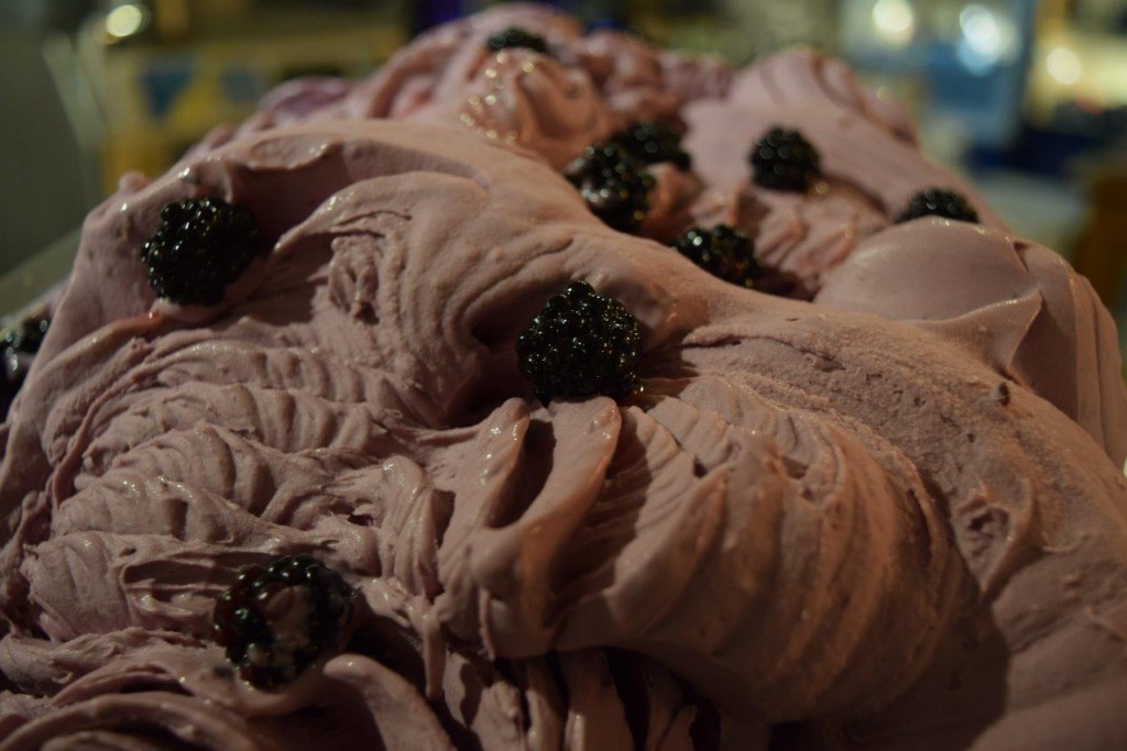 Fresh blackberries, picked in the morning and made in to delicious gelato by lunchtime